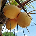 P1010237
