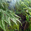 P1010246