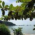 P1010249