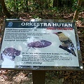 P1010254