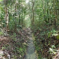 P1010259