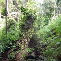 P1010261