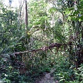 P1010267