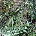 P1010272