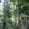 P1010275