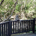 P1010289