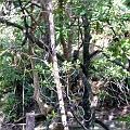 P1010299