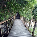 P1010305