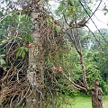P1010310