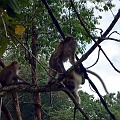 P1010311