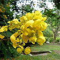 P1010321