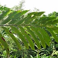 P1010328