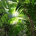 P1010333