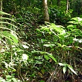 P1010335