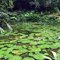 P1010338