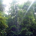 P1010344