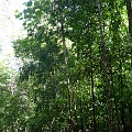 P1010474